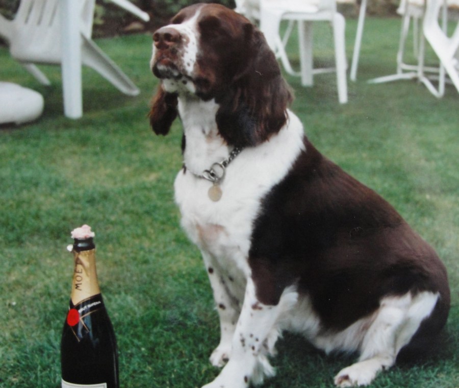 Max -'Starbuck Glow' 1992-2006